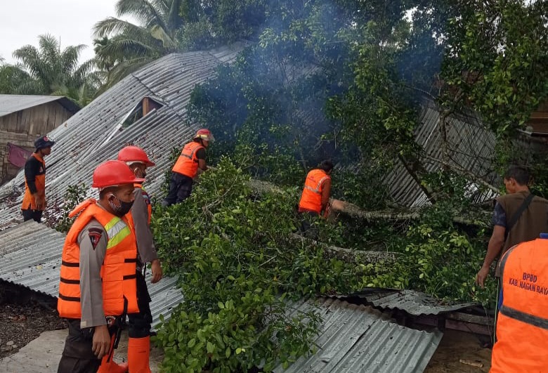 Hujan Lebat Disertai Angin, Satu Rumah Warga Nagan Raya Rusak Parah Tertimpa Pohon