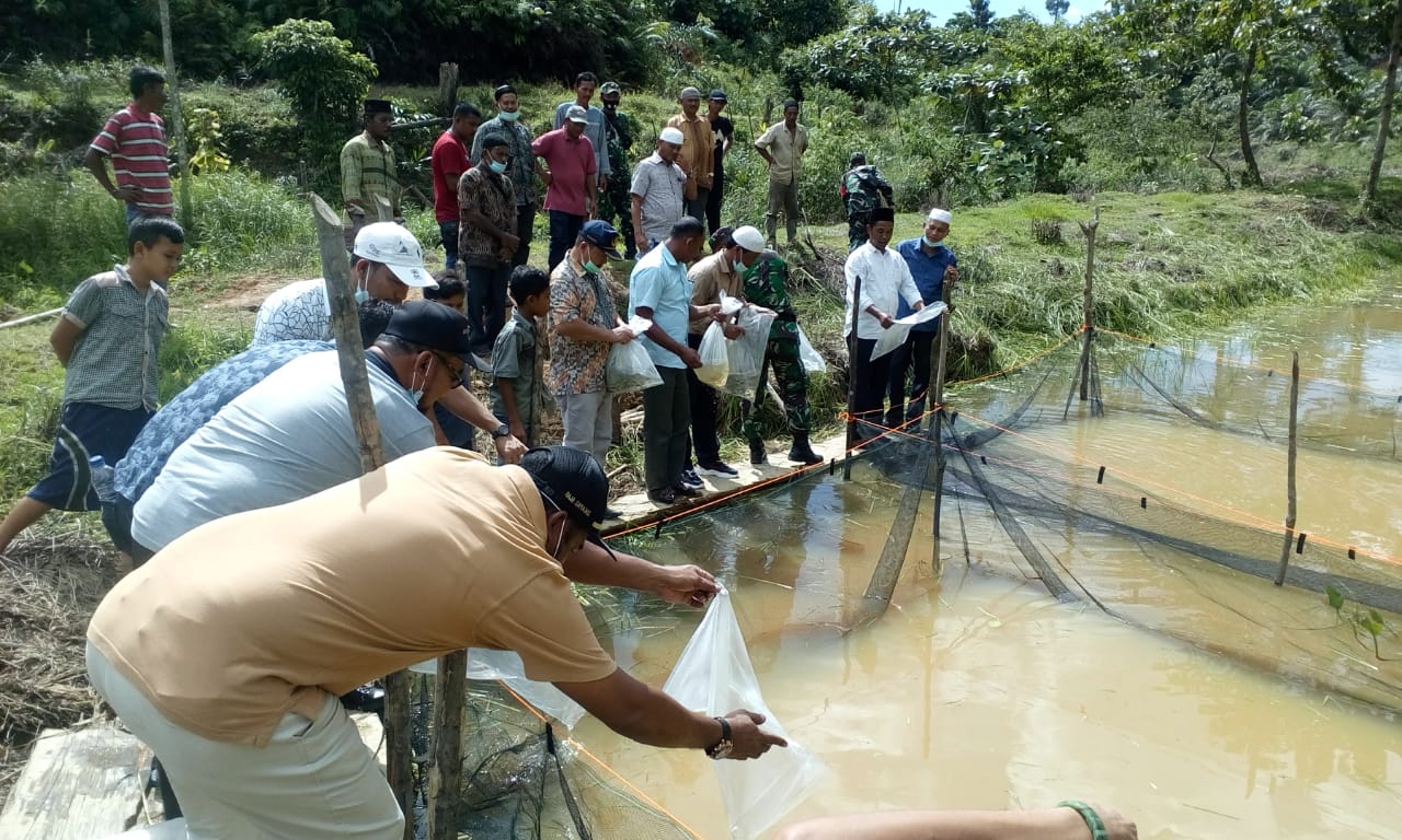 Pemkab Nagan Raya Salurkan 35 ribu Benih Ikan untuk Kelompok Tani