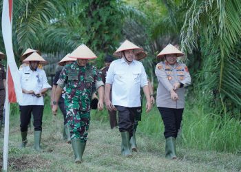 Bupati TRK Ikuti Gerakan Tanam Padi Serentak 14 Provinsi yang Digagas Kementan