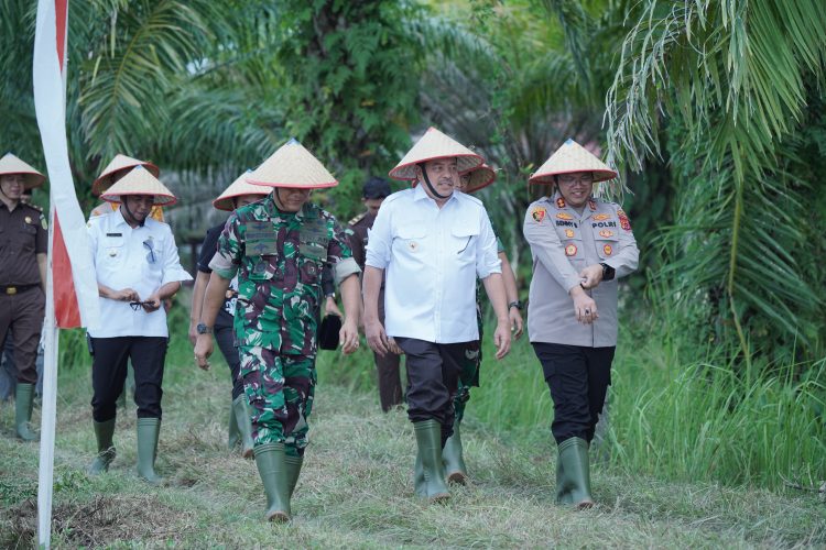 Bupati TRK Ikuti Gerakan Tanam Padi Serentak 14 Provinsi yang Digagas Kementan