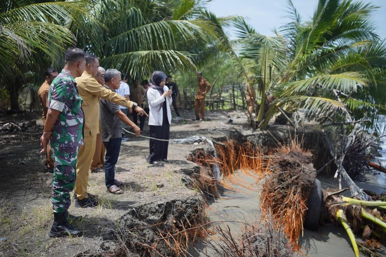 Wabup Nagan Raya Tinjau Abrasi Pantai Wisata Naga Permai