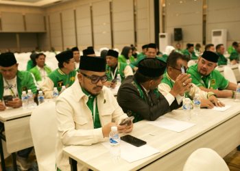 Ketua DPC PPP Nagan Raya Hadiri Workshop Nasional Fraksi PPP di Jakarta