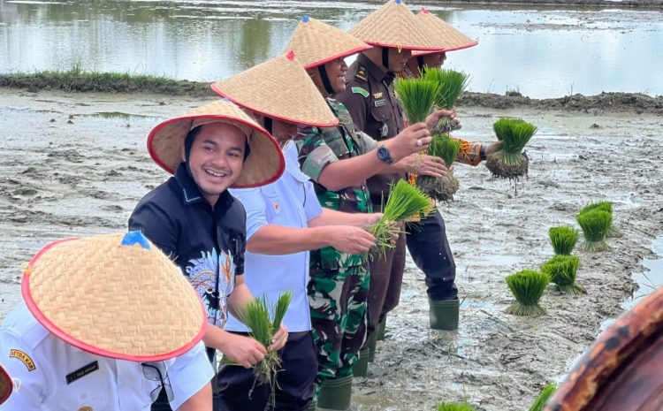 Ketua DPRK Nagan Raya Hadiri Kegiatan Tanam Padi Serentak di Desa Puloe Ie
