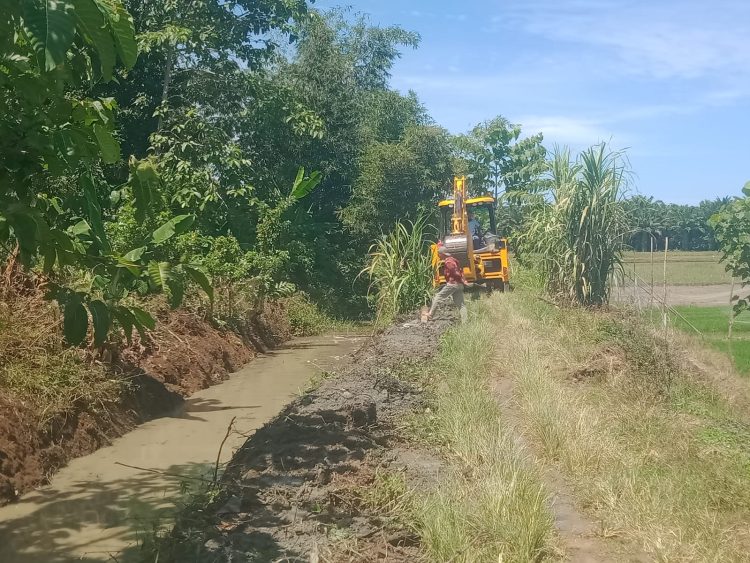 PT Socfindo Seunagan Bantu Pembersihan Akses Irigasi Petani