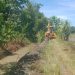 PT Socfindo Seunagan Bantu Pembersihan  Akses Irigasi Petani