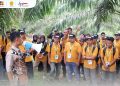 185 Pekebun Aceh Timur Ikuti Pelatihan Teknis Budidaya Kelapa Sawit di Banda Aceh