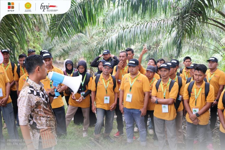 185 Pekebun Aceh Timur Ikuti Pelatihan Teknis Budidaya Kelapa Sawit di Banda Aceh