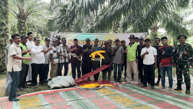 PT Socfindo Kebun Seunagan Gelar Sosialisasi kepada Petani Sawit di Padang Panyang